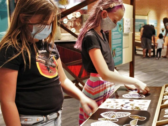 Wild World of Bugs - Family Preview