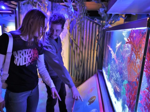 College students experience Undersea Discovery at Flandrau in Tucson