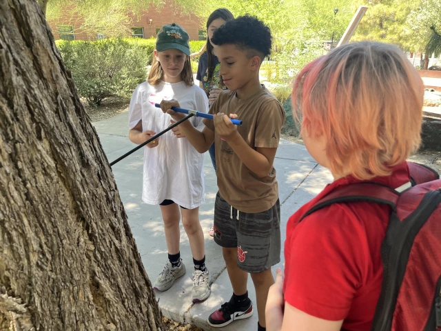 Several kids bore into a tree